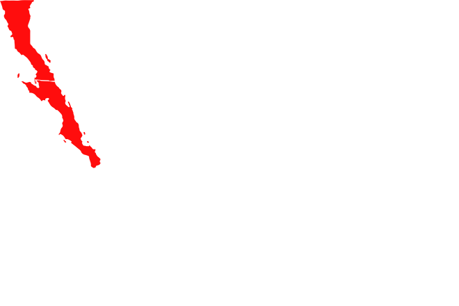 nsw